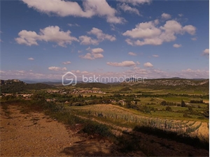 terrain agricole à la vente -   66720  TAUTAVEL, surface 5230 m2 vente terrain agricole - UBI484093979